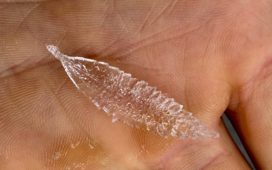 Forms of ice