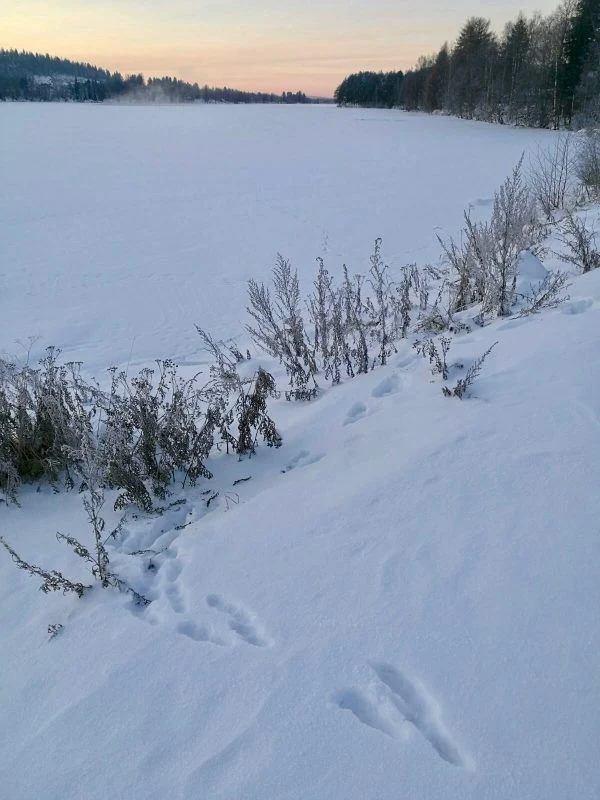 Winter wonders!
