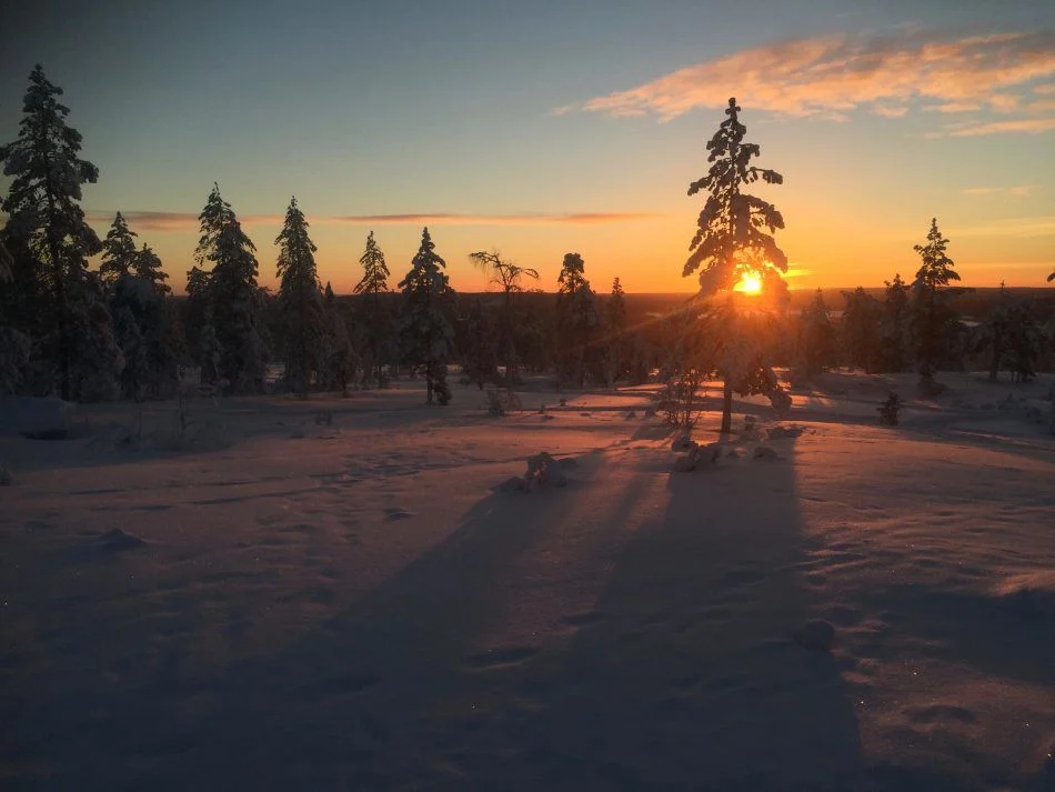 Sunrise