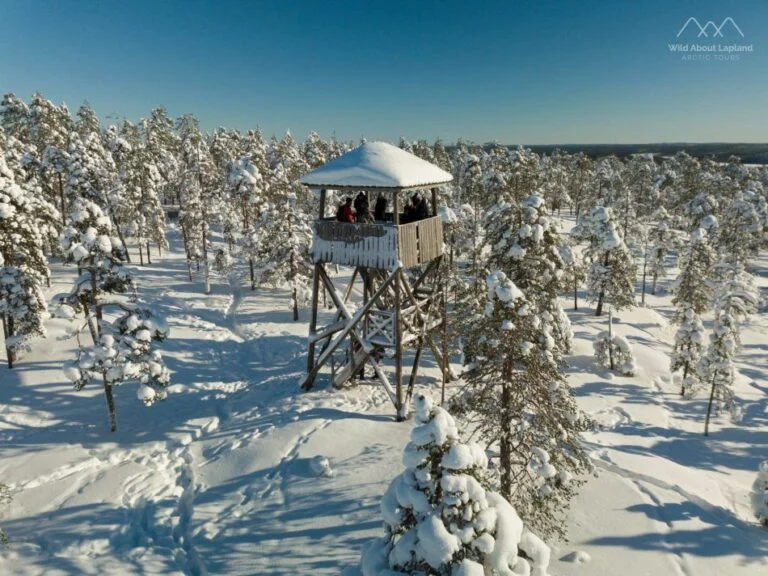 A lookout tower surrounded by snow-covered forest in Lapland