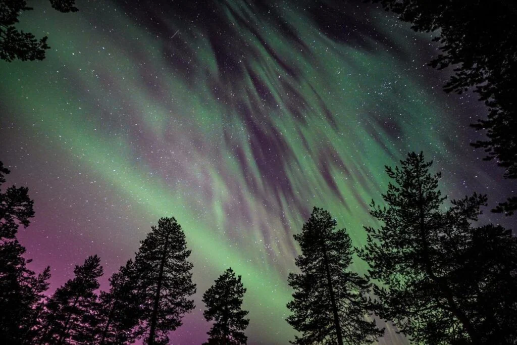 Aurora over the Taiga forest near Rovaniemi, Finnish Lapland