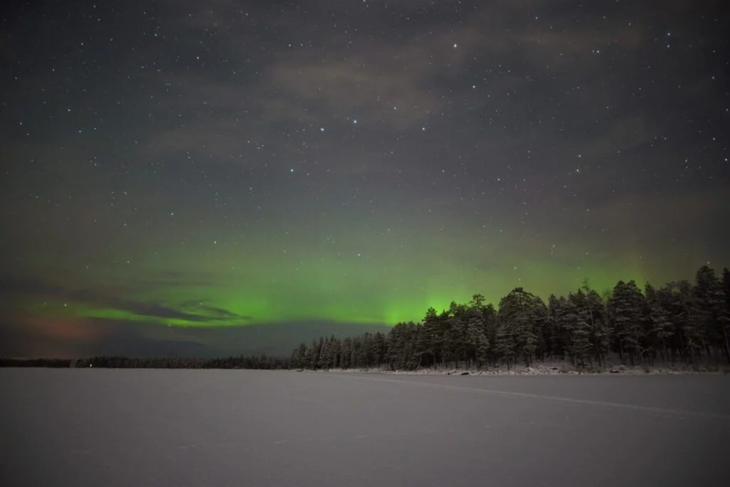 November aurora over the forest near Rovaniemi