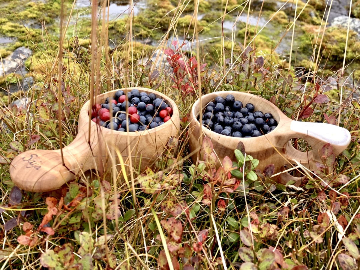 Kuksa berries