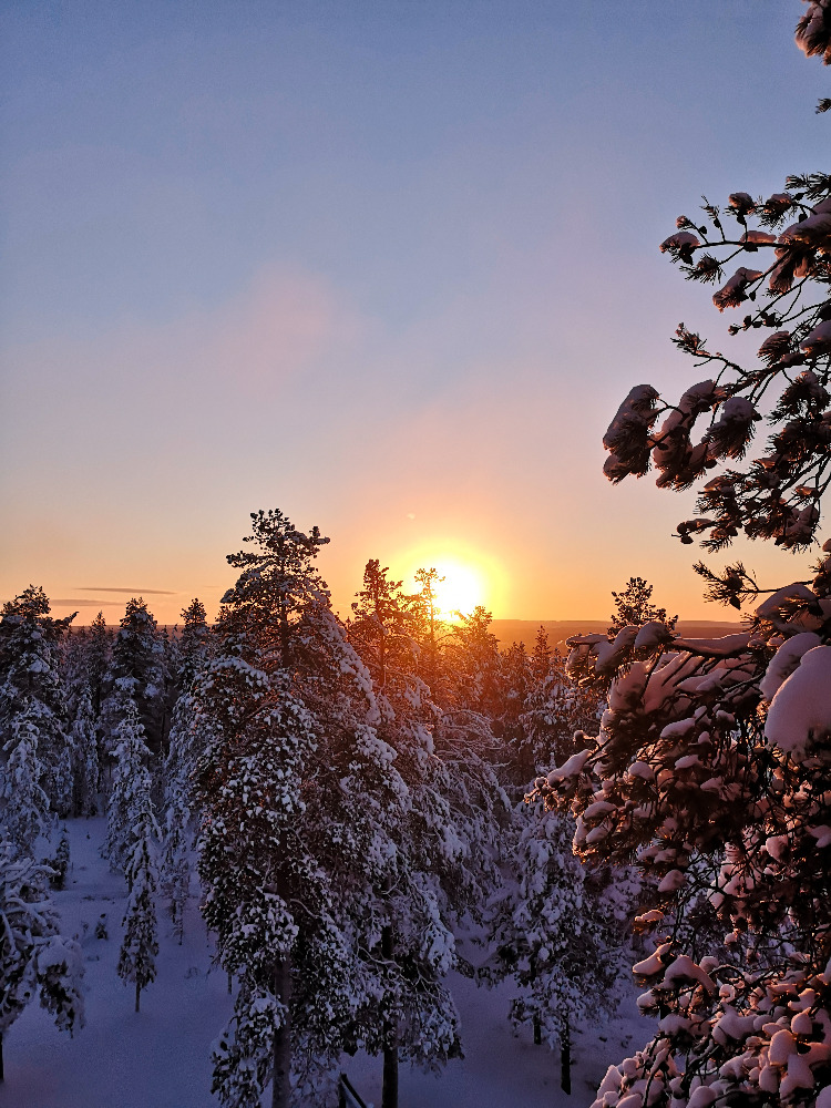 Snow in Lapland