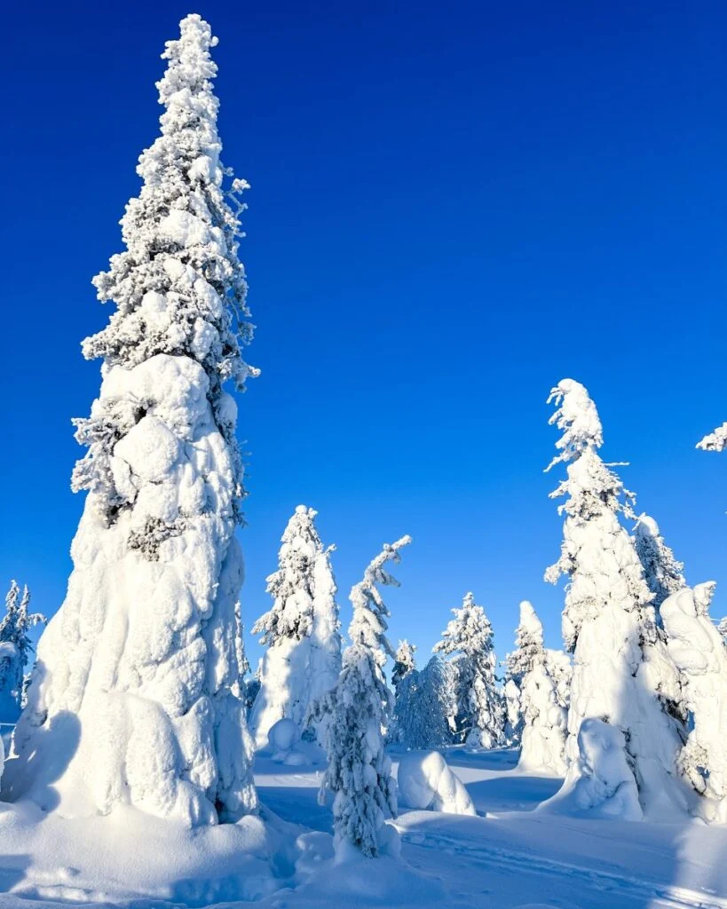 Exploring the Arctic wilderness