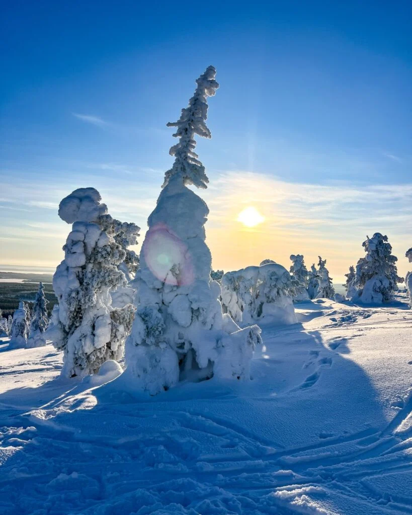 A perfect winter atmosphere!