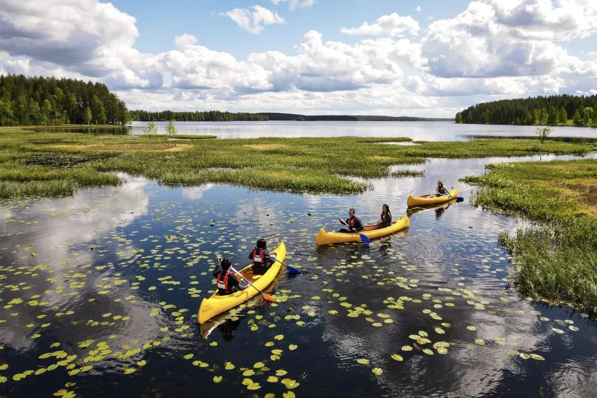 Guests canoeing on a lake in Finnish Lapland