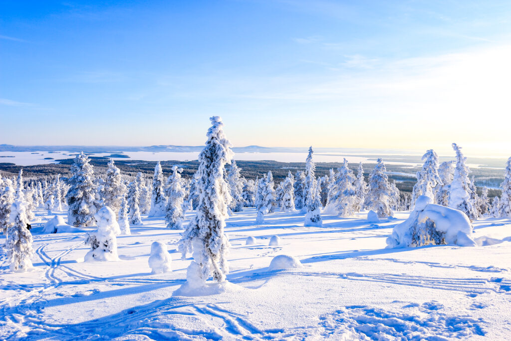 Riisitunturi National Park in winter