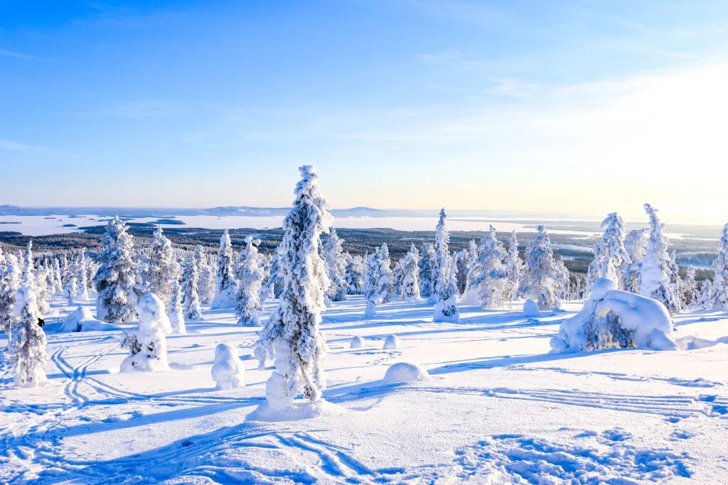 Riisitunturi National Park in winter