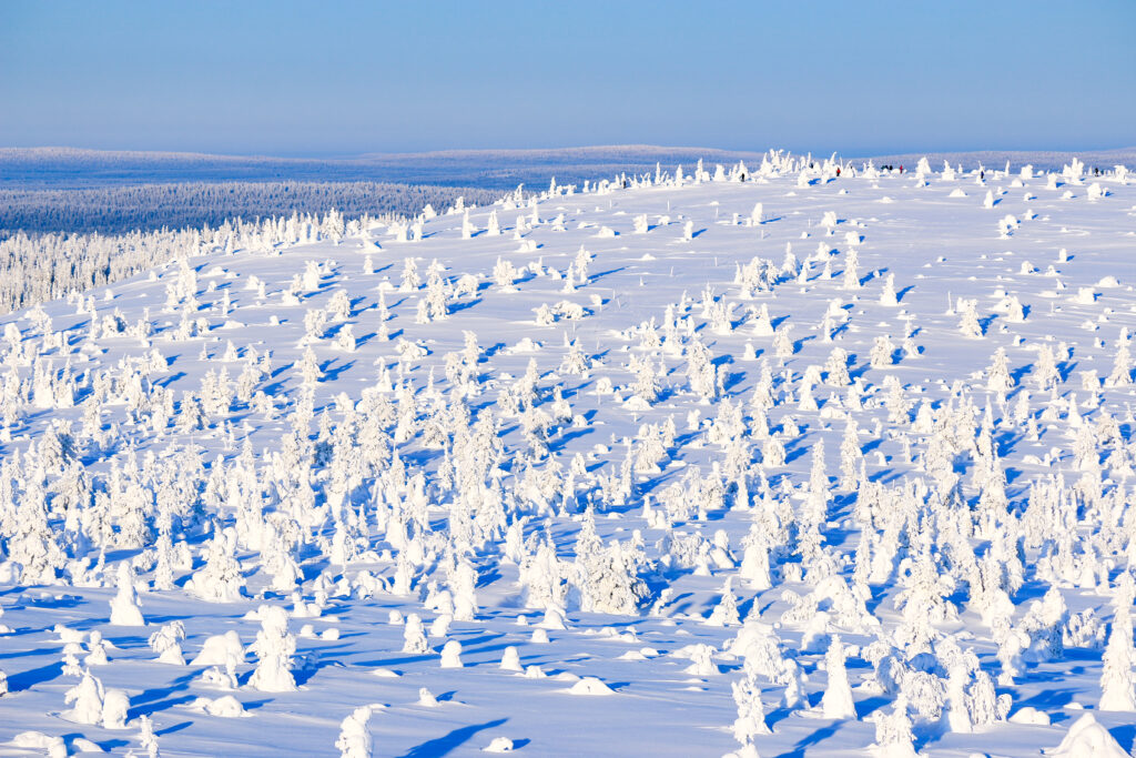 Riisitunturi National Park in Lapland