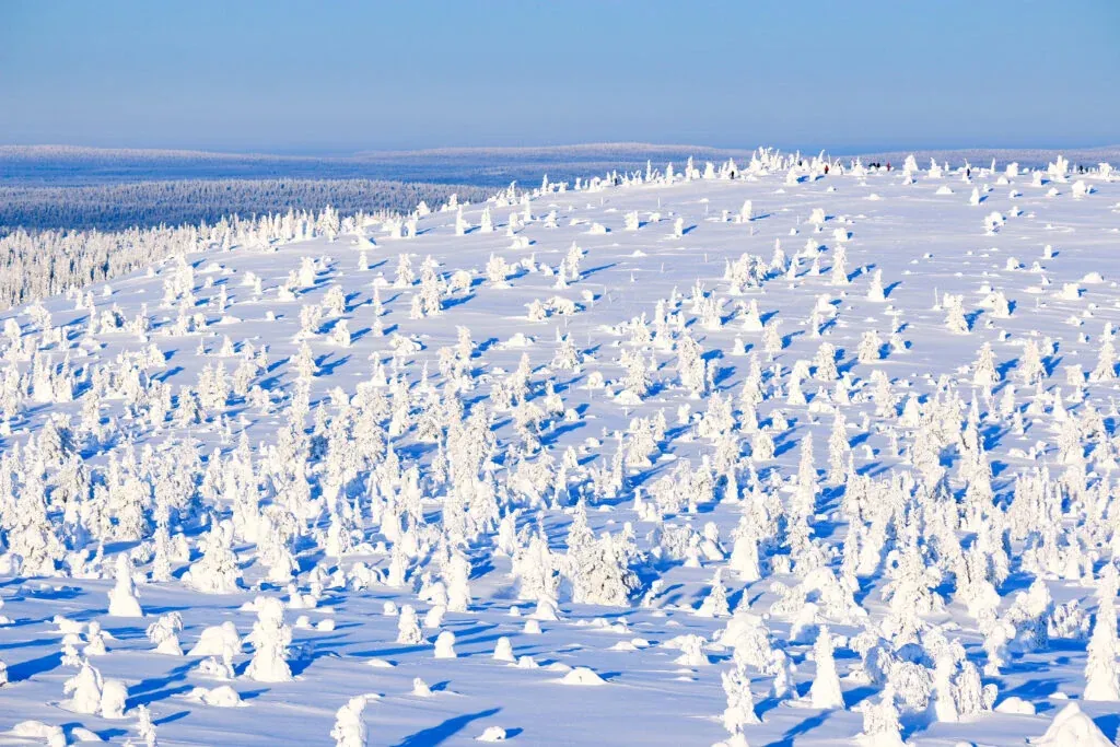 Riisitunturi National Park in Lapland