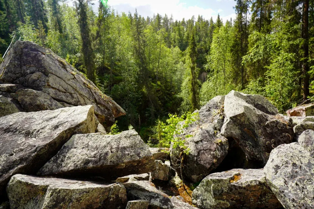 Auttiköngäs Wilderness Hike