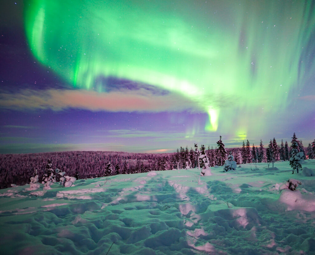 Snowshoeing Adventure under the Northern Lights