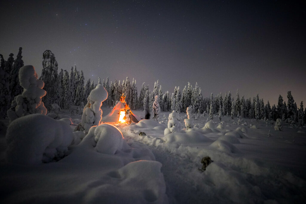 Night Snowshoeing Adventure in Lapland