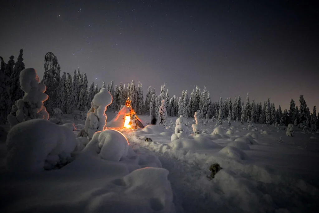 Night Snowshoeing Adventure in Lapland