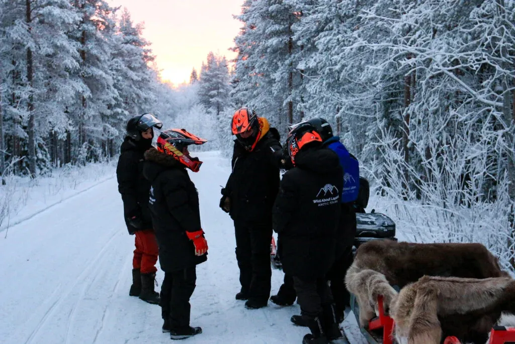 Northern Lights Sledge Snowmobile Ride in Rovaniemi