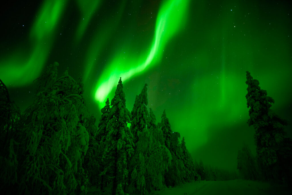 Northern Lights in Lapland