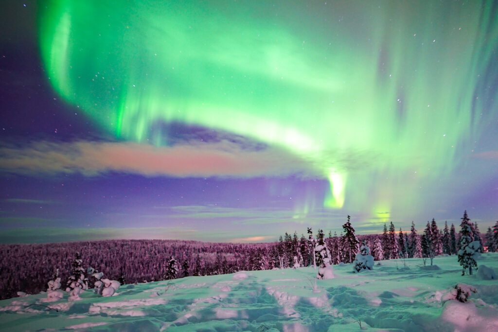 Northern Lights Snowmobile Adventure