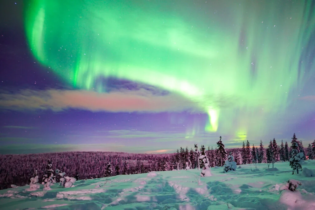 Northern Lights Snowmobile Adventure