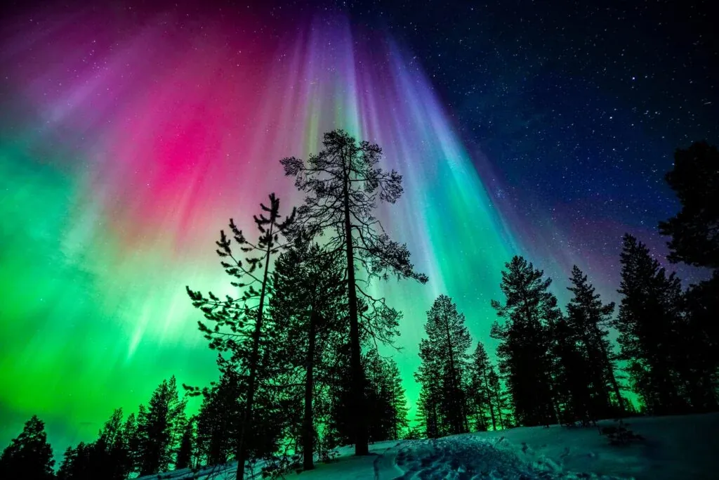 Private Northern Lights Hunting from Rovaniemi with Guaranteed Sightings