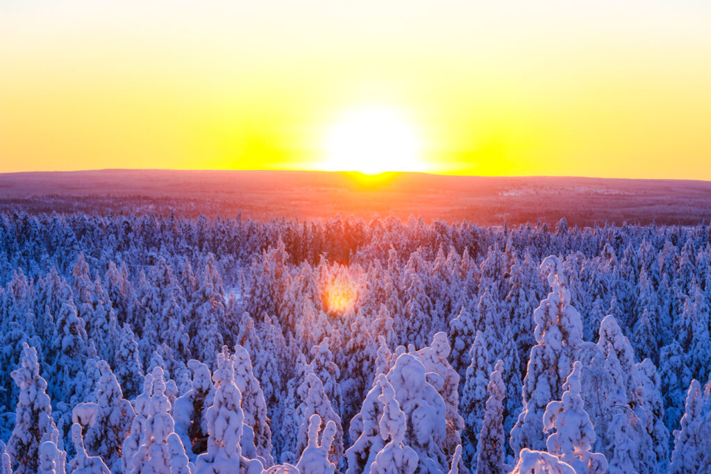 Beautiful frozen Taiga forest in Rovaniemi