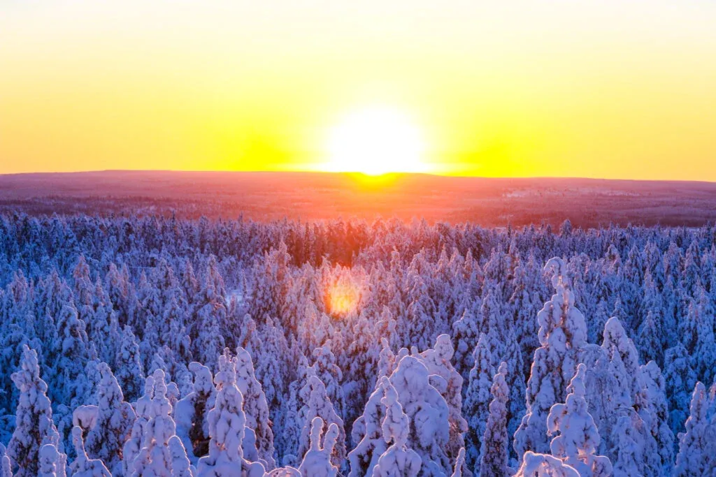 Beautiful frozen Taiga forest in Rovaniemi