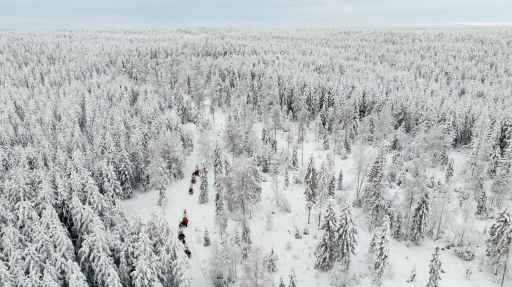 Taava Reindeer Farm – Reindeer & Lapland Traditions Year-Round