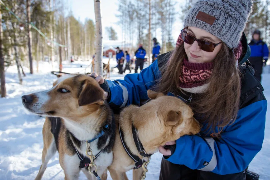 Wild Run - 5 km husky safari