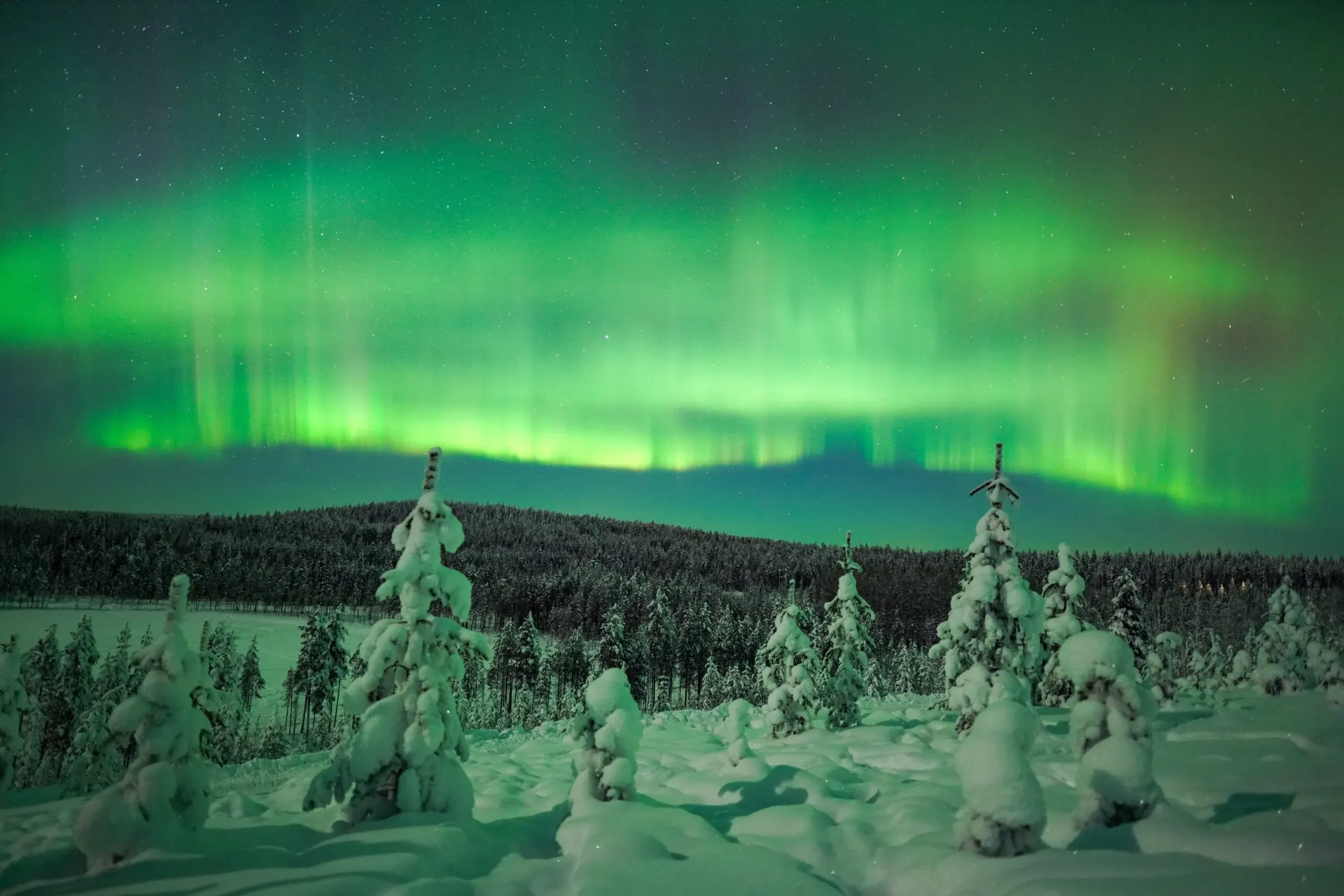 Northern lights over snow-covered trees in Finnish Lapland