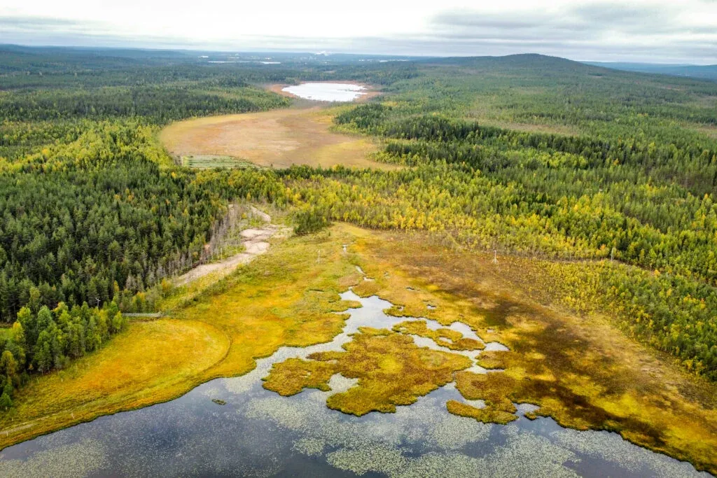 Beautiful colours of autumn in Rovaniemi