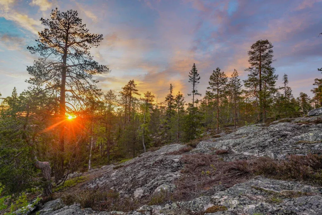 Beautiful summer sceneries of Finnish Lapland