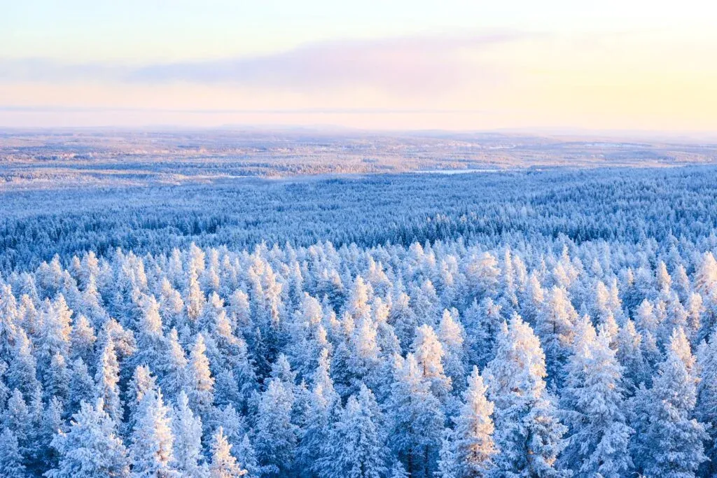 Stunning views of the snowy Taiga forest