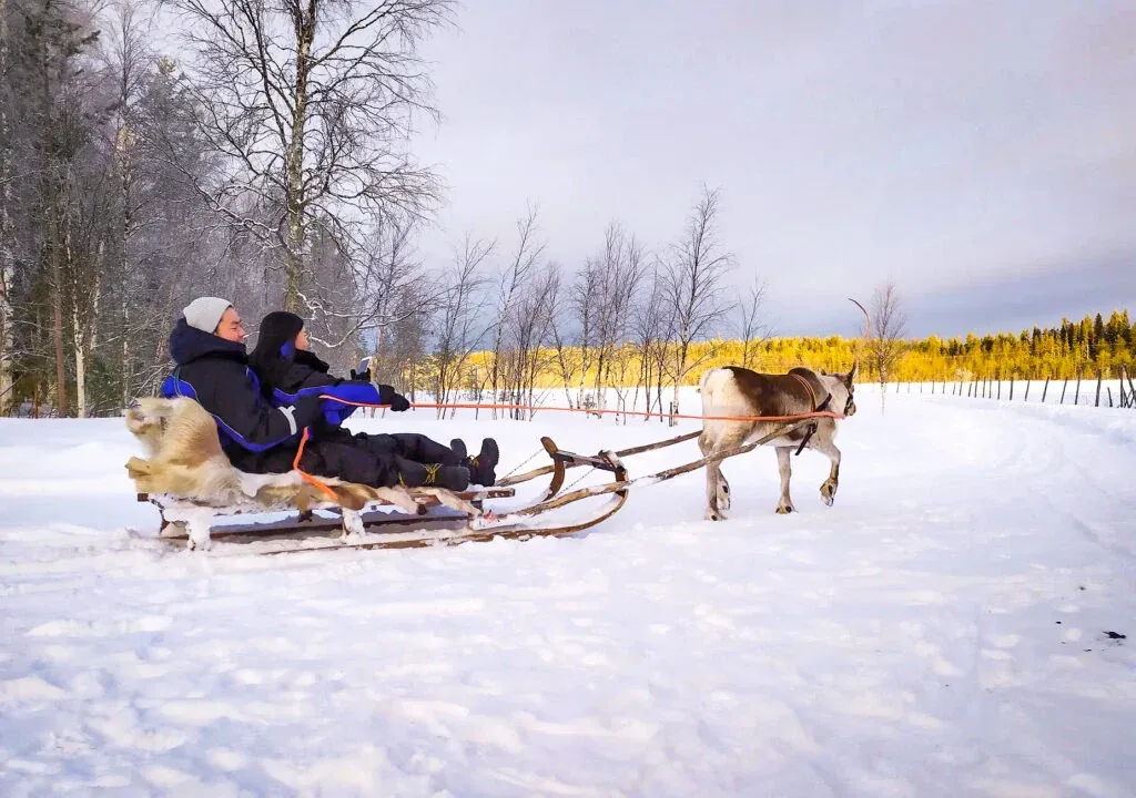 Reindeer Safari in Rovaniemi