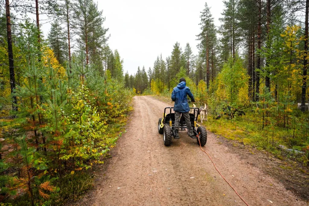 Driving a cart through colourful Taiga forest