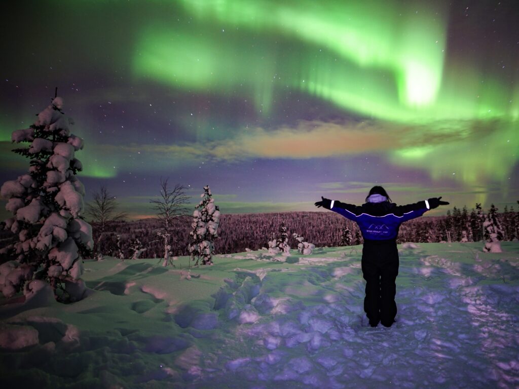Northern Lights Adventure in Rovaniemi