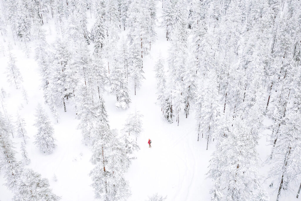 Winter wonderland in Lapland