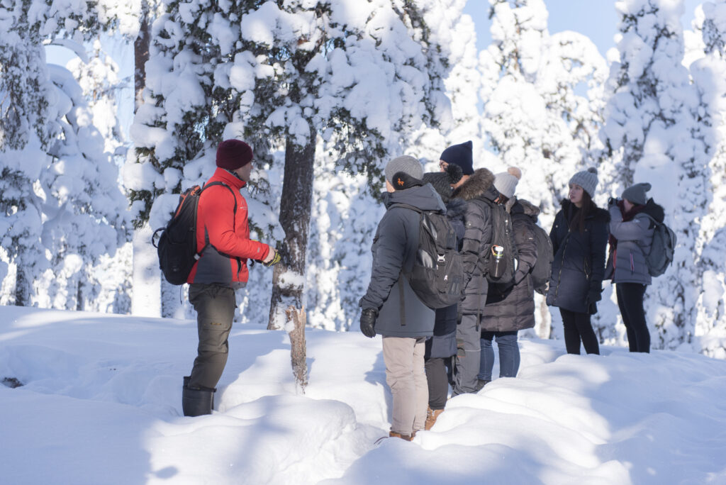 Teaching our guests about Arctic nature
