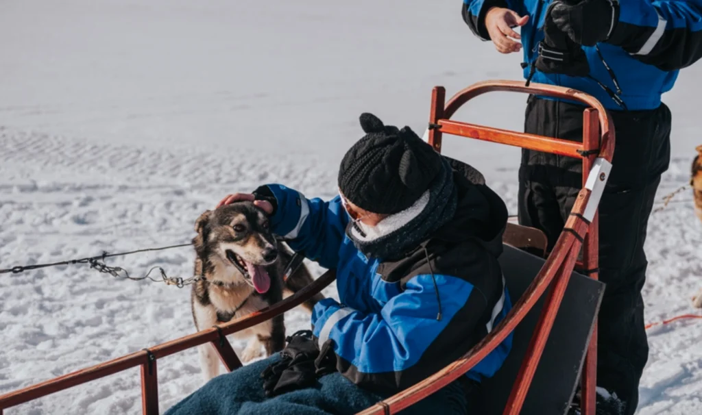 Husky Experience in Rovaniemi