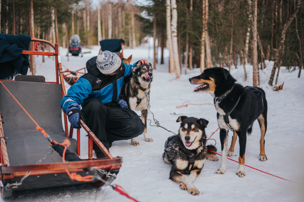 Trail of Tails - 5 km Husky Adventure in Rovaniemi