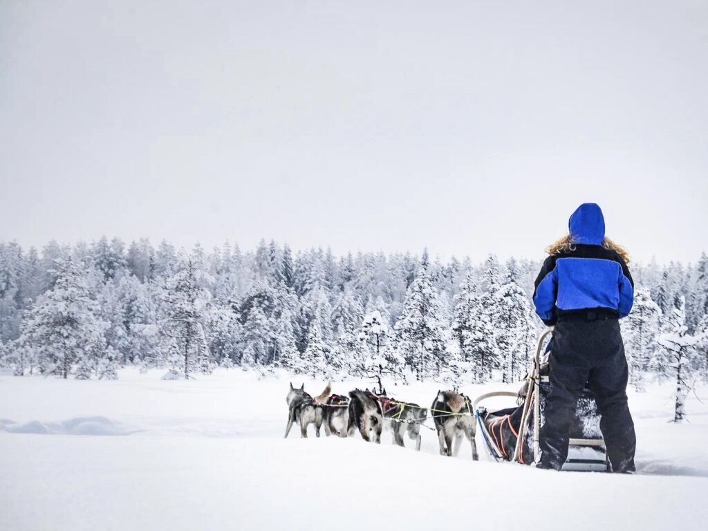 Husky Safari in Rovaniemi