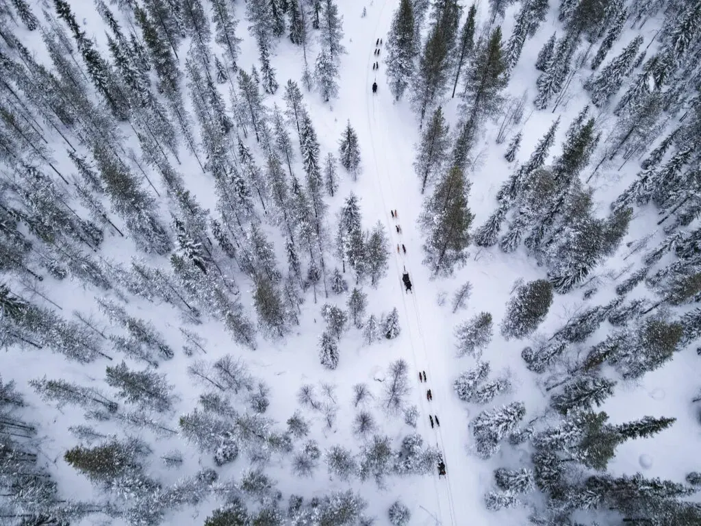 Husky Safari in the middle of Arctic wilderness