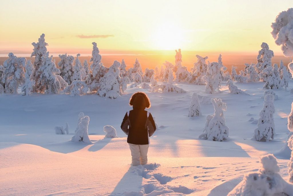 Riisitunturi National Park