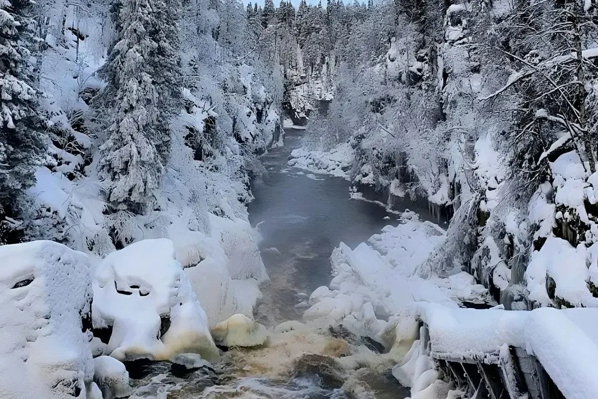 Auttiköngäs Frozen Waterfalls