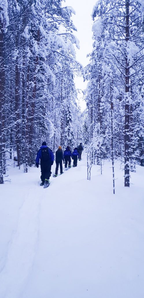 Snowshoeing in the Wilderness