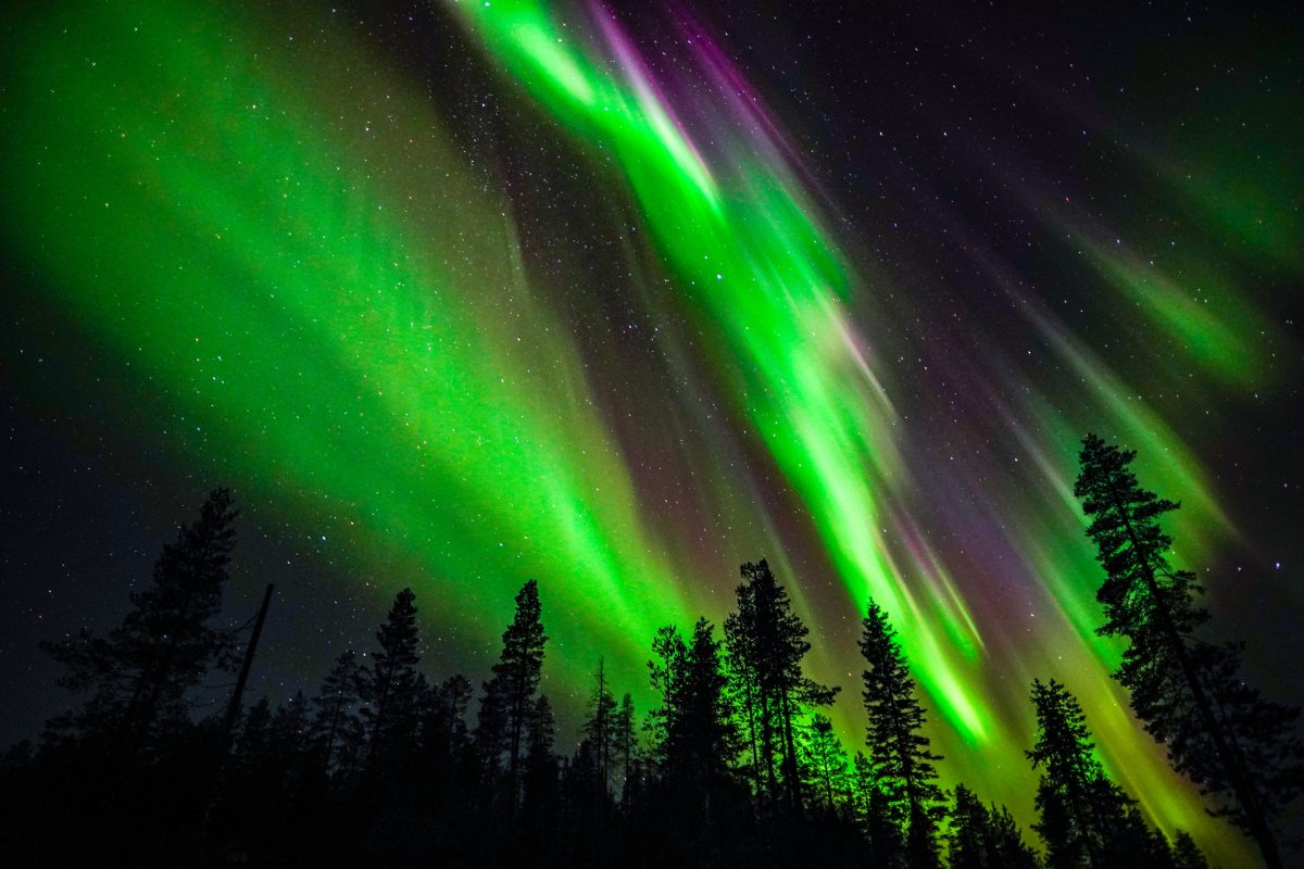 Private Tours in Rovaniemi