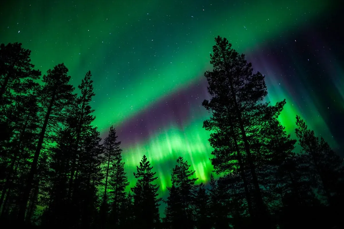 Northern Lights dancing in the sky over Lapland