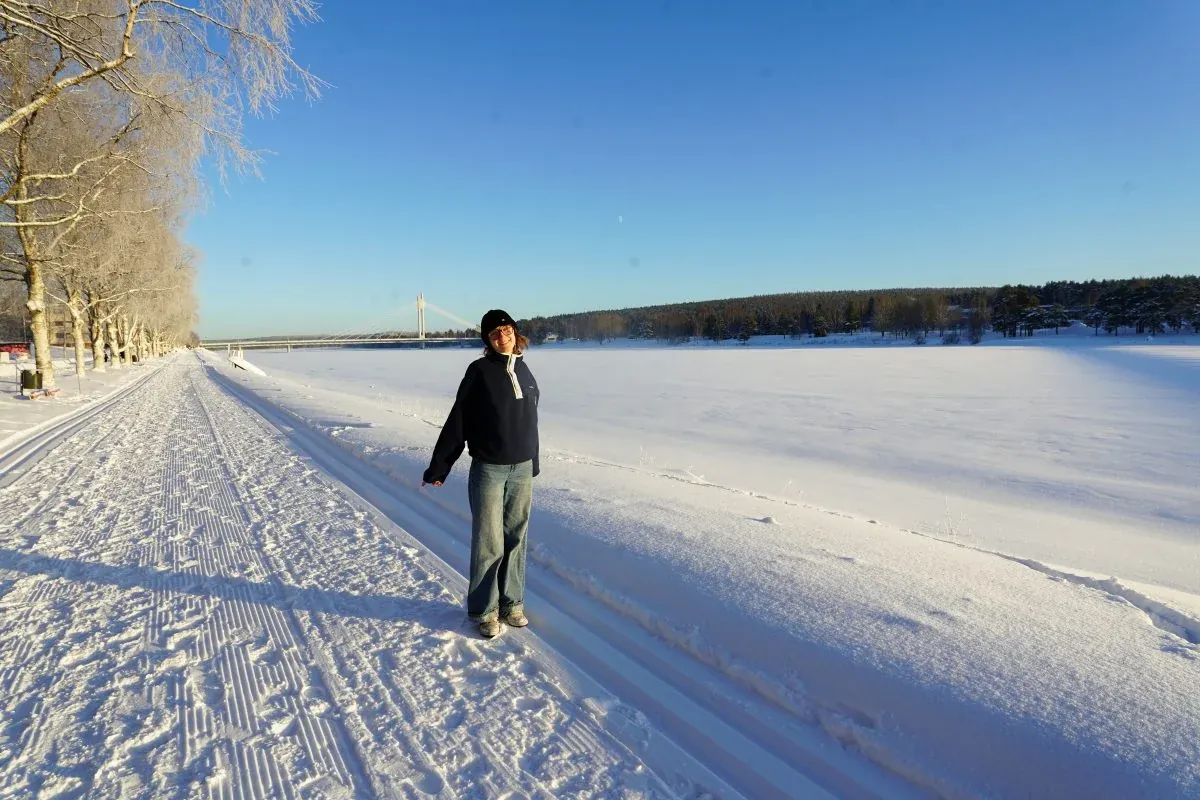 Internship in Rovaniemi