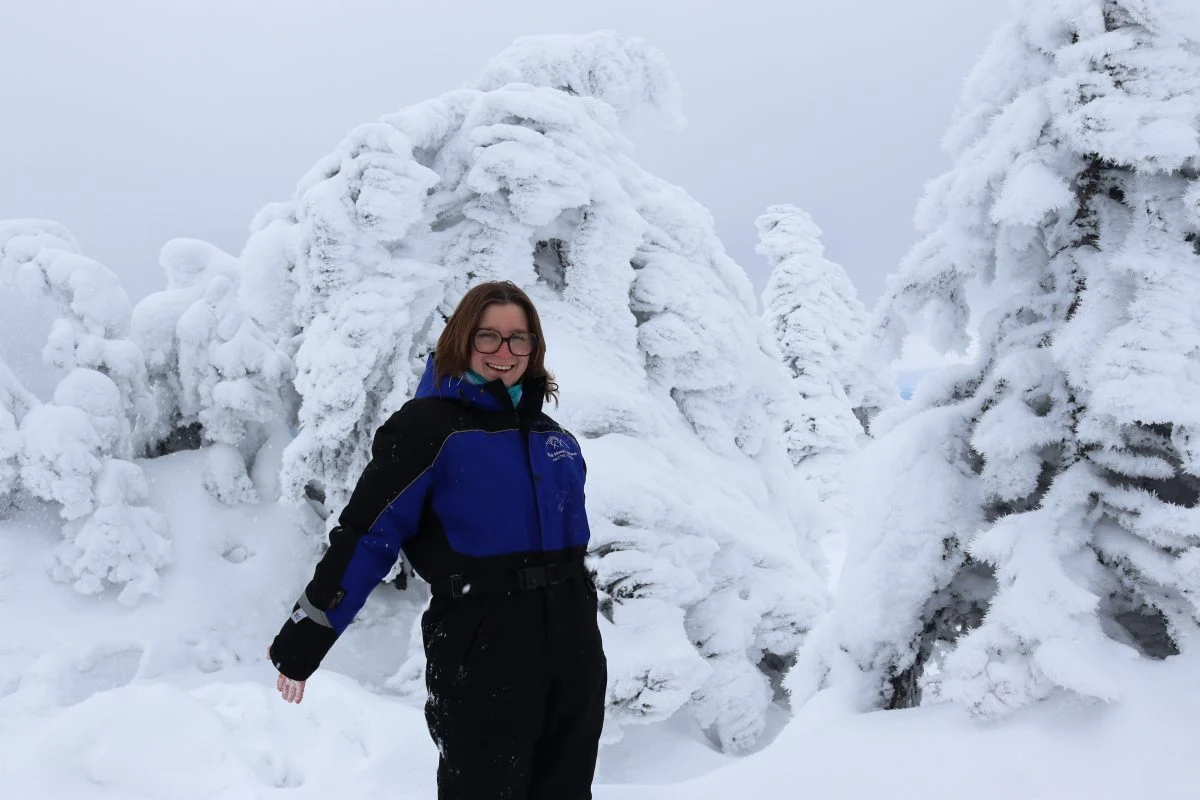 Wild About Lapland experience