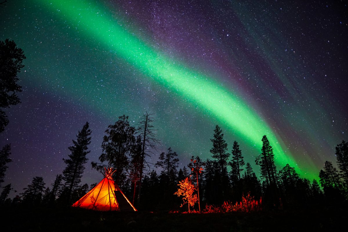 Northern Lights Wilderness Tour with Wild About Lapland