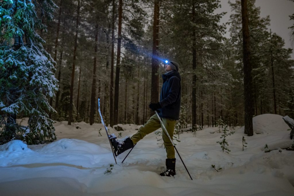 Ski Trekking under the Northern Lights